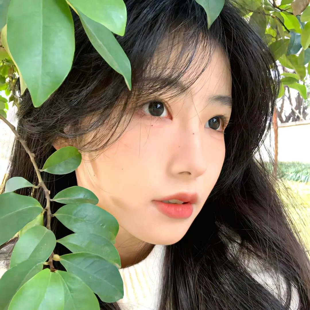 雨中的童话